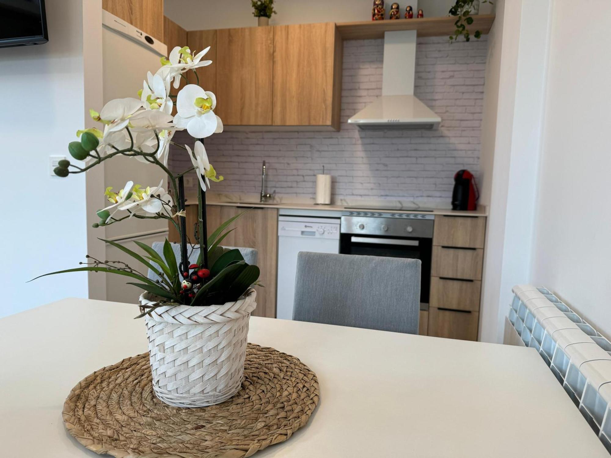 Apartamentos Montejurra 에이귀 외부 사진